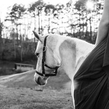 Horseback at sunset