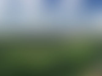 Valle del Fosso della Cecchignola, Avs chiede di preservare il monumento naturale