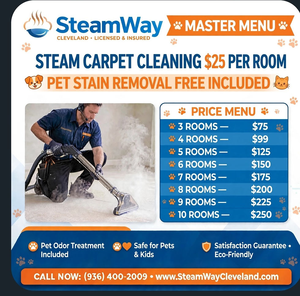 SteamWay Carpet Cleaning Master Menu Price List