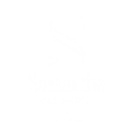 Untitled design(31).png