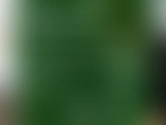 Crie textos atrativos para suas redes sociais