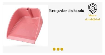 Recogedor1.JPG