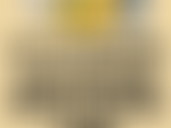 “Patch Now, Pay Never: The Loan That Forgives”