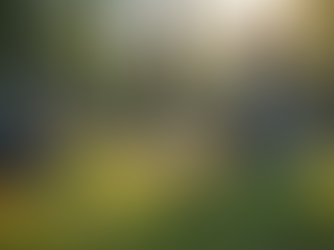 Understanding Final Expense Insurance: A Guide to Preparing for the Future