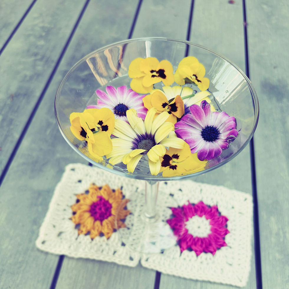 Spring time daisy’s bring joy🌼