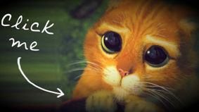 Microsoft Teams Hacked