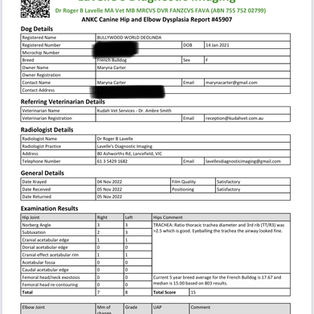 French Bulldog hips elbows trachea health test Perth WA