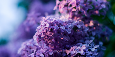 GLOW UP WEBSITE BANNER (13).png