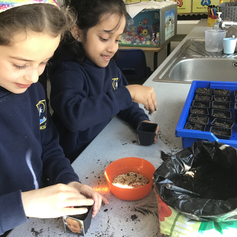 Planting fun!