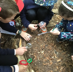 Class 2CT summer trip to Gibside
