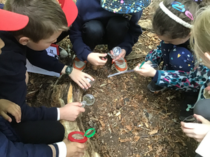 Class 2CT summer trip to Gibside