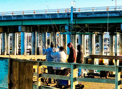 EVERY PICTURE TELLS A STORY AWARD  ~ BARBARA JAMES ~ EARLY CATCH ~ AREA 1I