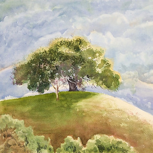 Tues. Dry Creek Valley.jpg