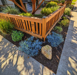 CHRIS ADAMSON ~ LITTLE RED FENCE AND THE GARDEN OF COLOR ~ AREA 21