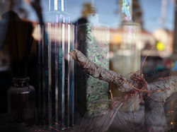 GREGORY PEASE ~ THROUGH THE GLASS ~ AREA 29_5