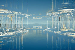 COLL BERNARD ~ BLUE ALAMEDA ~ AREA 30