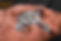 2501-chopper-01-02.jpg