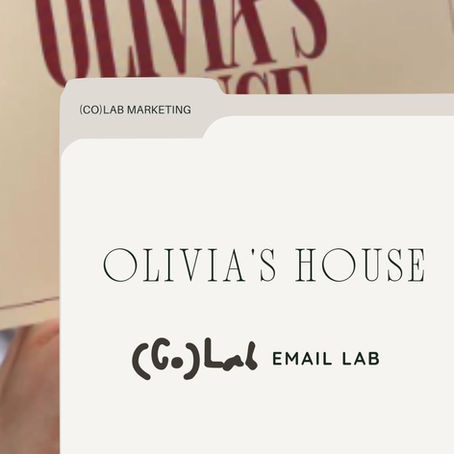 The (Co)Lab Email Lab #03 - This is Olivia's House