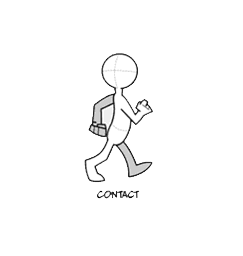 Walk Cycle