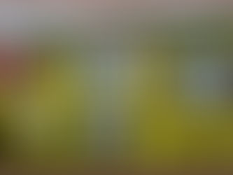 The Best of the West. "Western" 