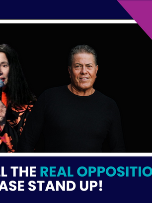 WILL THE REAL OPPOSITION PLEASE STAND UP!