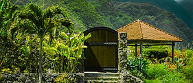 Maui - Hawaii