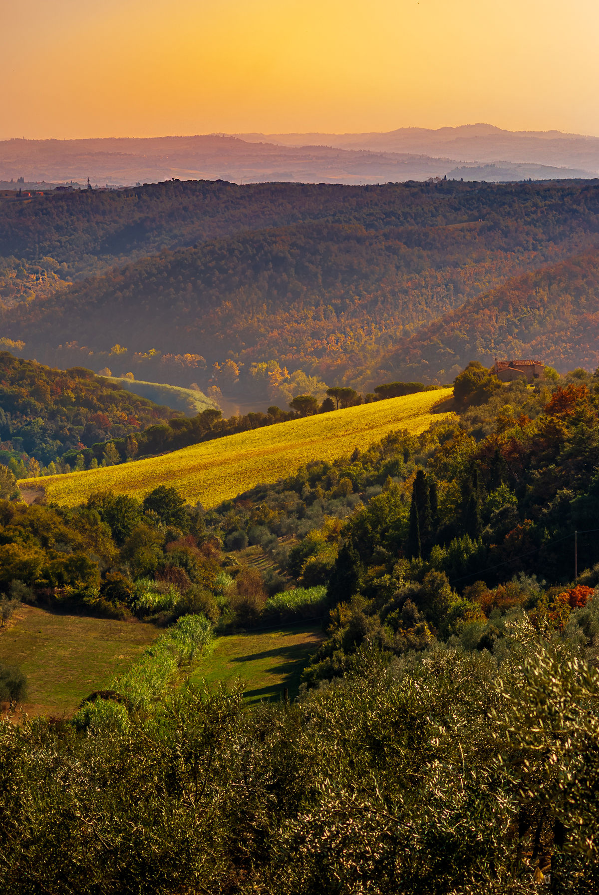 Tuscan Sunset Portrait
