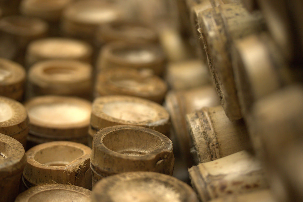 Miniatura: Canne lavorate S 4/5