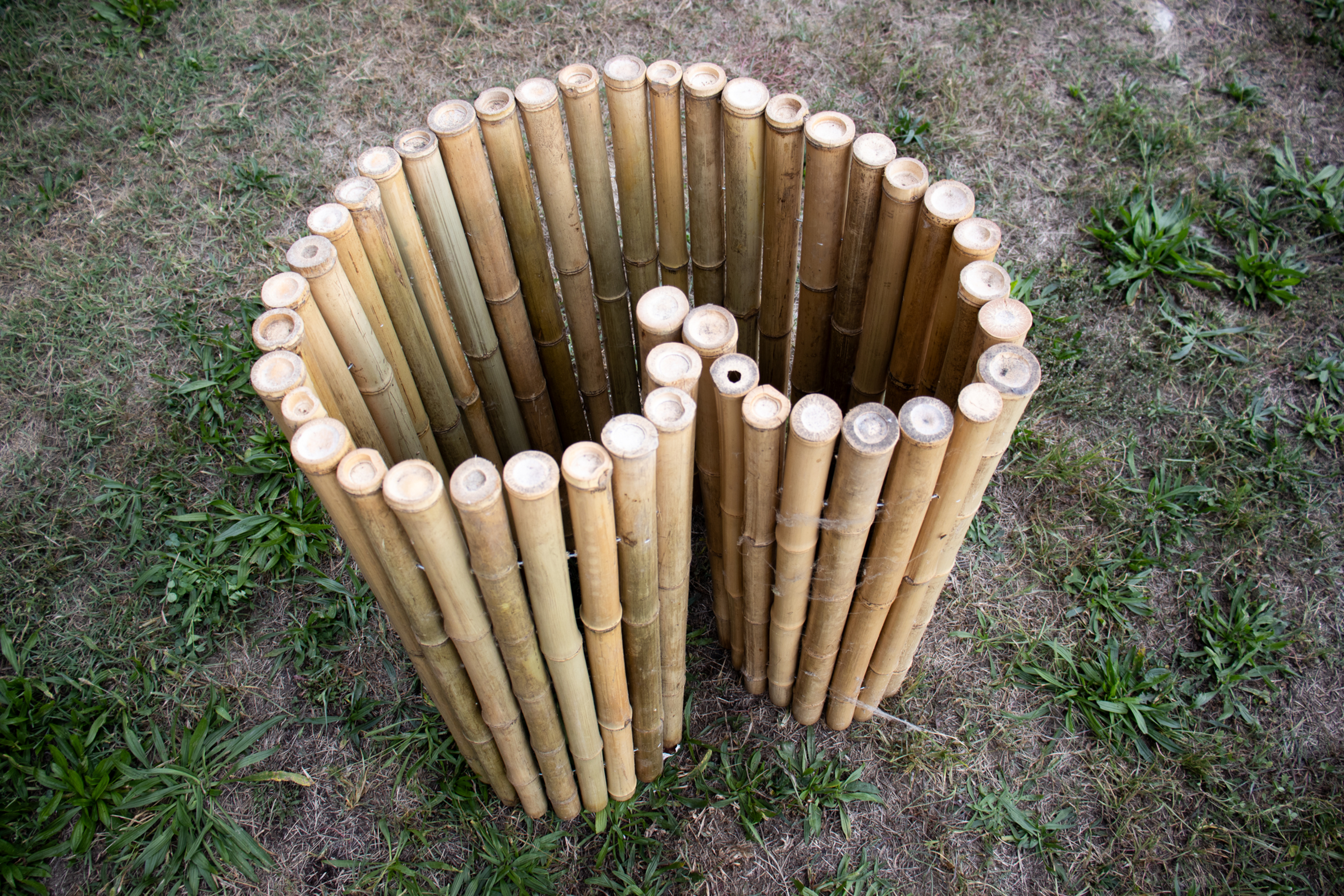 Bamboo Roll - B