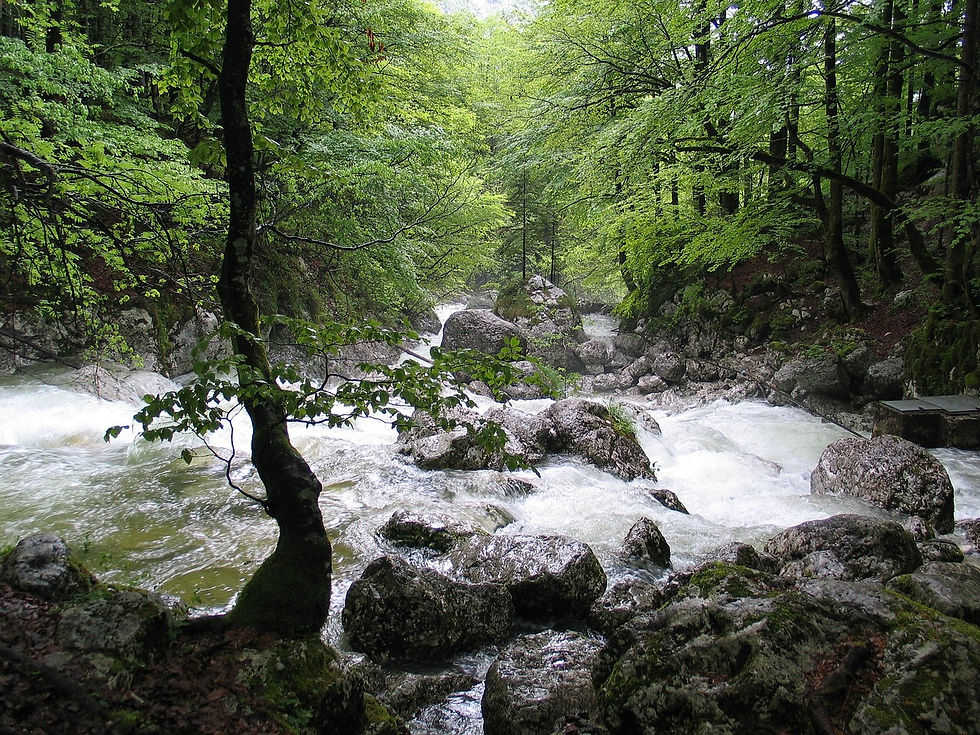 Slovénie