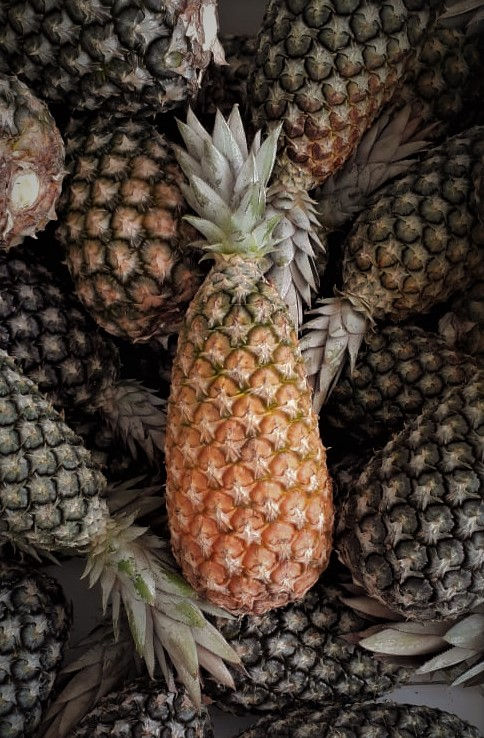 Polpa de ABACAXI COM HORTEÃ 1 Kg ( 10 unidades de 100g cada)