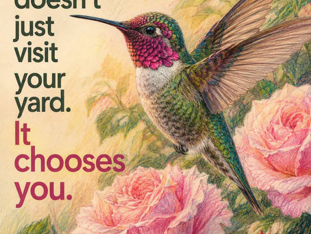 When God Brought the Hummingbirds to Her