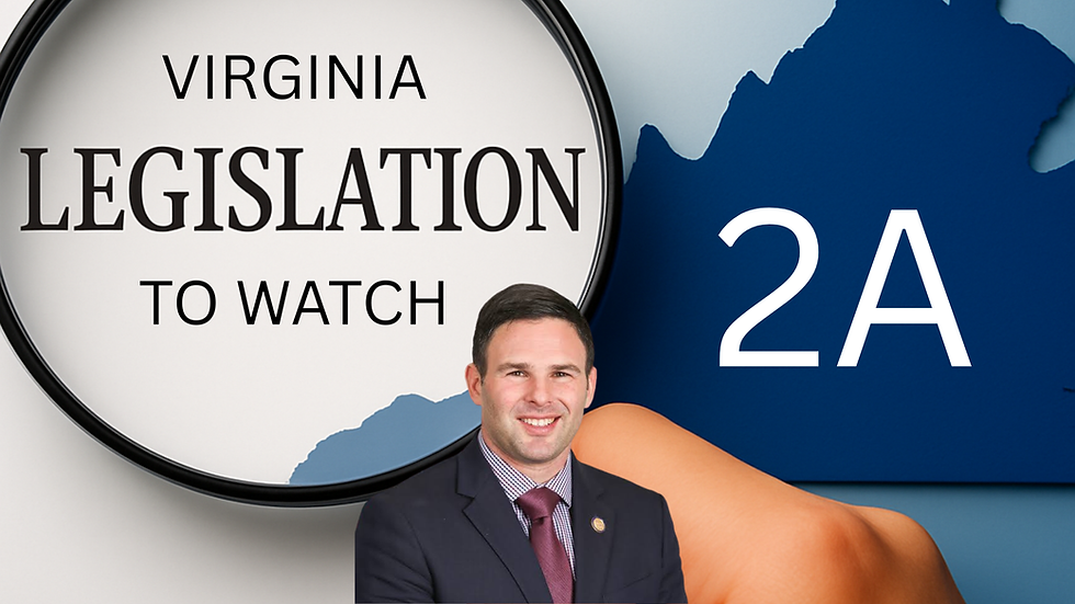 a Trojan horse for overregulation, economic harm, and erosion of constitutional rights.