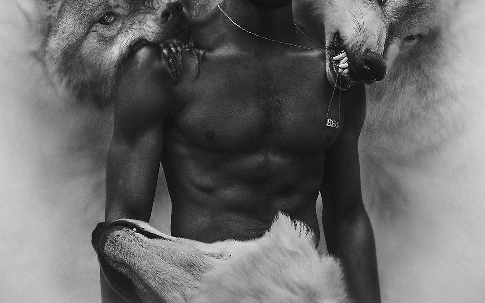 LAK WOLVES BG.jpeg