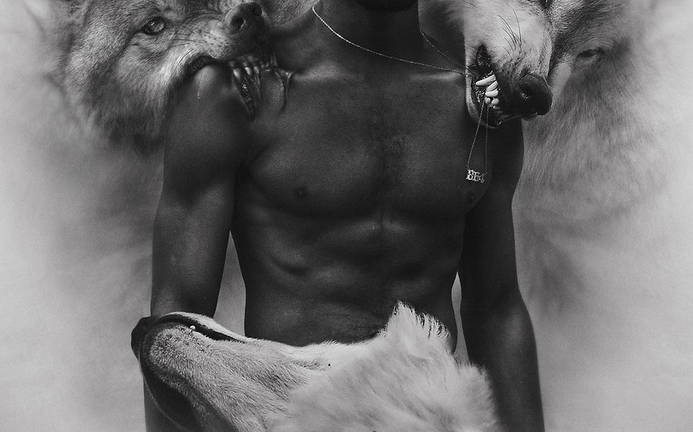 LAK WOLVES BG.jpeg