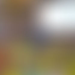 W 2025 roku czytaliśmy na potęgę!