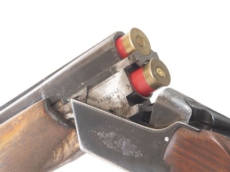 hunting shotgun 