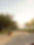 alamoweddingsunedited-2.jpg