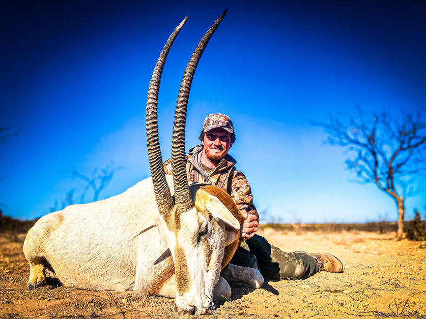 Hunter with a Scimitar-Horned Oryx on the Texas hunting ranch