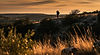 Silhouette of a hunter overlooking the Texas Hill Country at golden hour, with rugged terrain and dramatic backlighting.