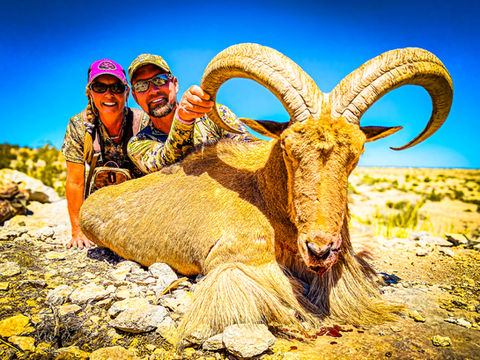 Hunter smiling next to trophy Aoudad Sheep