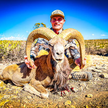 Happy hunter posing with West Texas trophy Aoudad Sheep