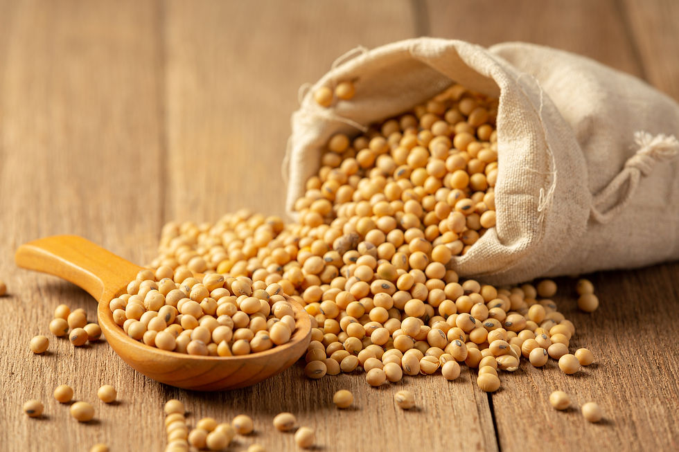 Soya beans from a cloth bag splayed out on a table