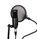 Microphone