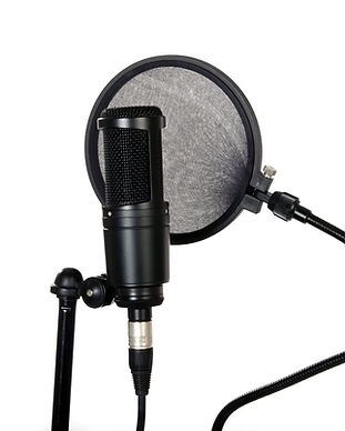 Microphone