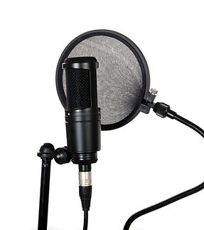 Microphone With Filter