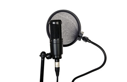 Microphone