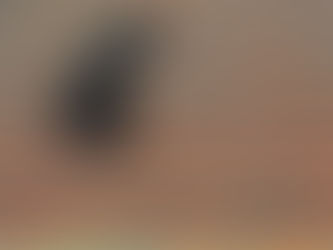 Making Decisions in Times of Ambiguity: Trusting Yourself in the Unknown