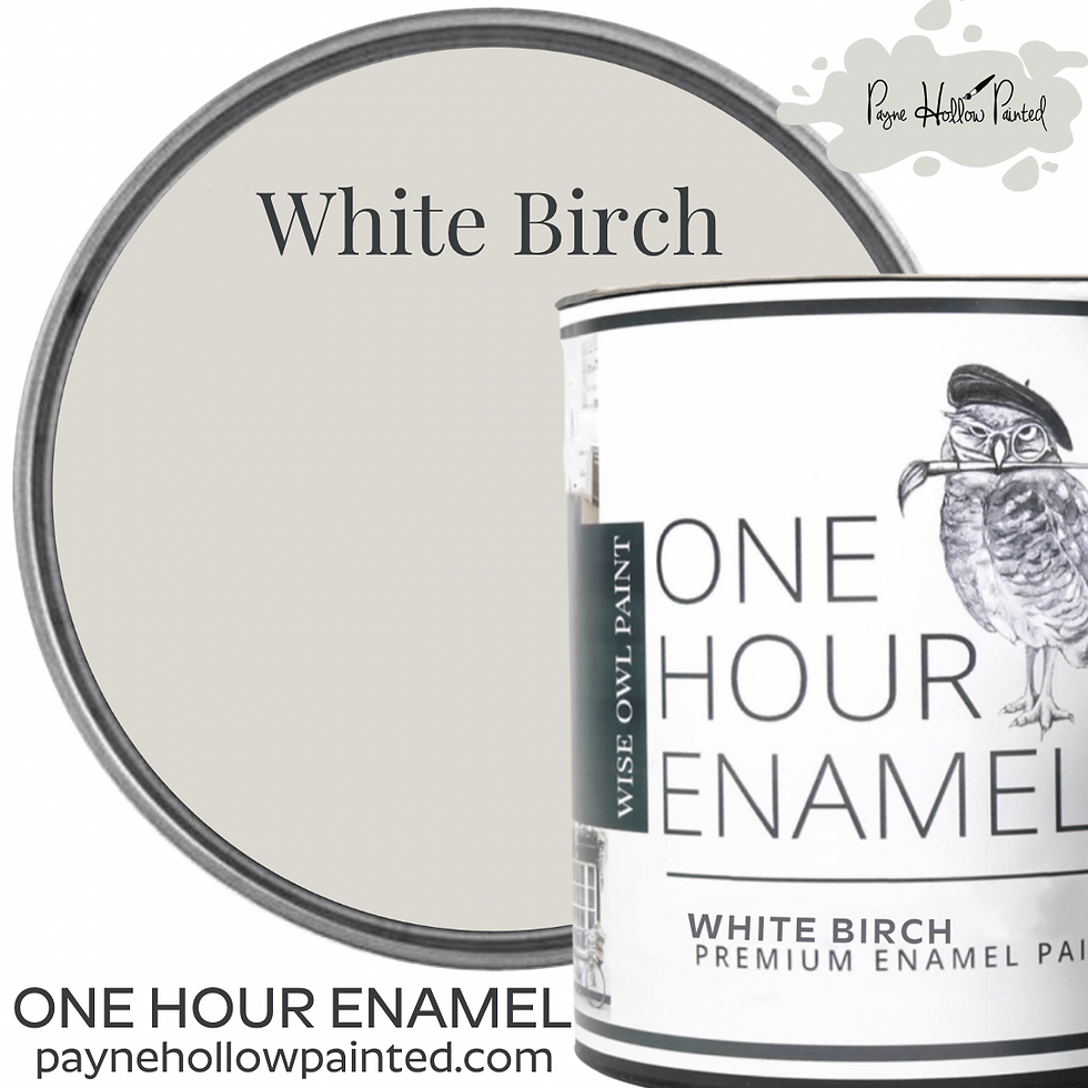 WHITE BIRCH • Wise Owl One Hour Enamel