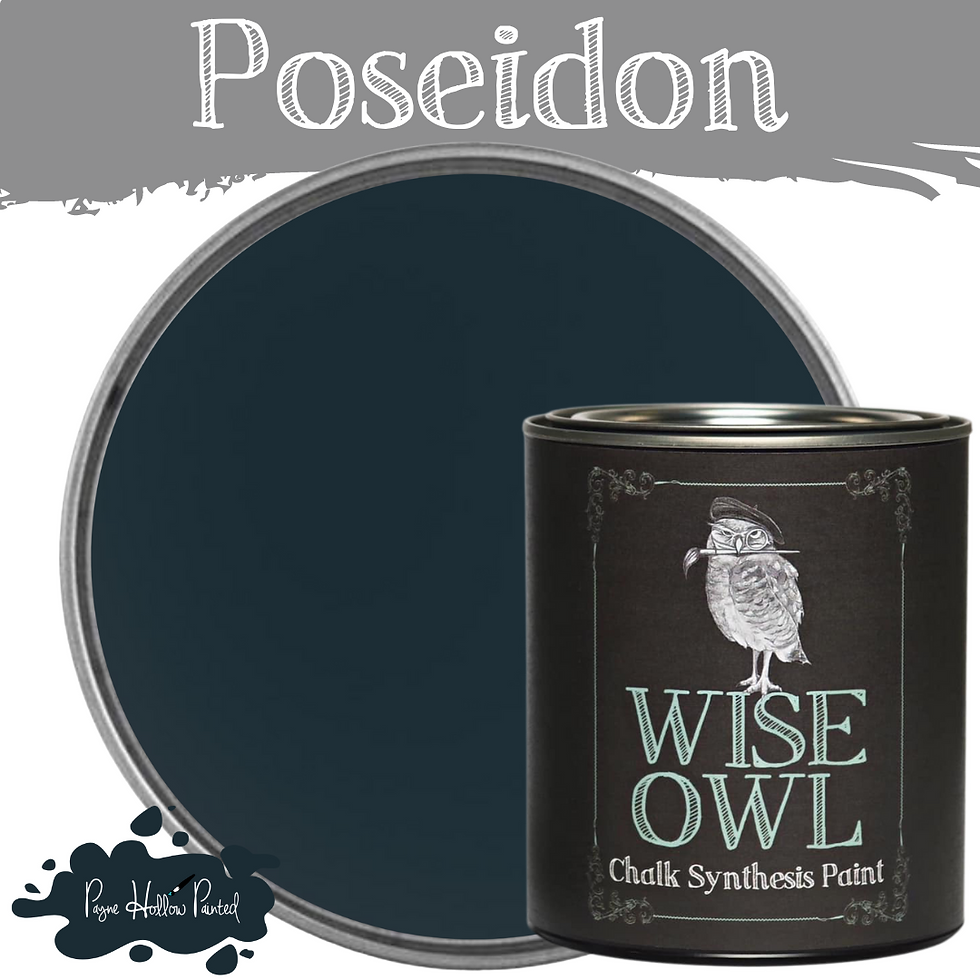 POSEIDON • Wise Owl Chalk Synthesis Paint